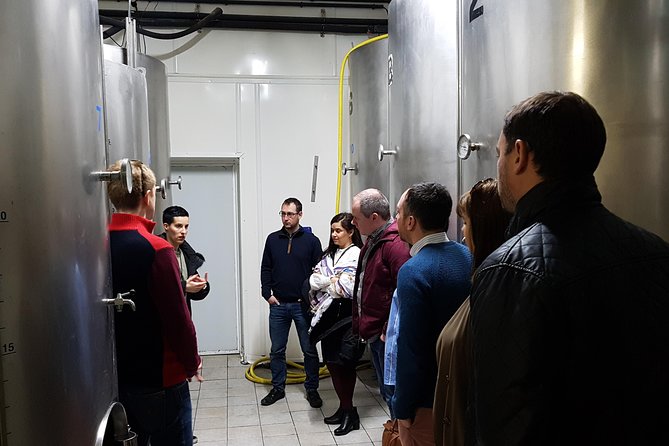 Txakoli Winery Tour Through the Coast From San Sebastian