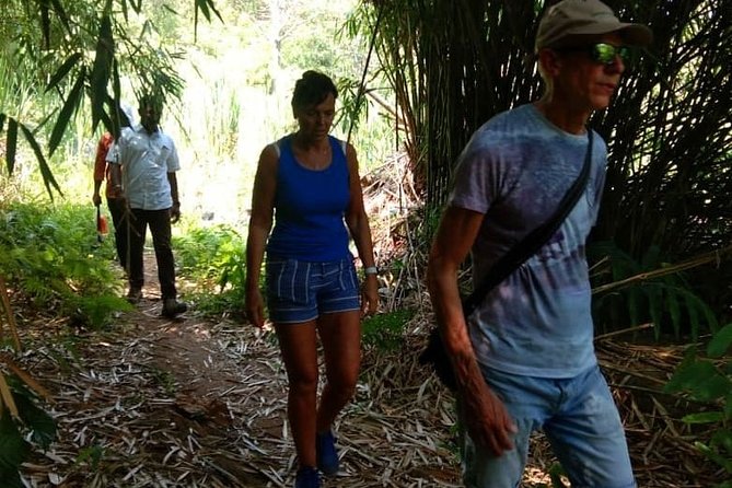 Tyndis Wayanad Experiential Tour - Itinerary Customization