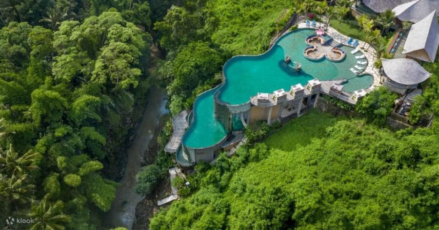 Ubud Bliss Tour – Rice Terrace, Monkey Forest, Infinity Pool