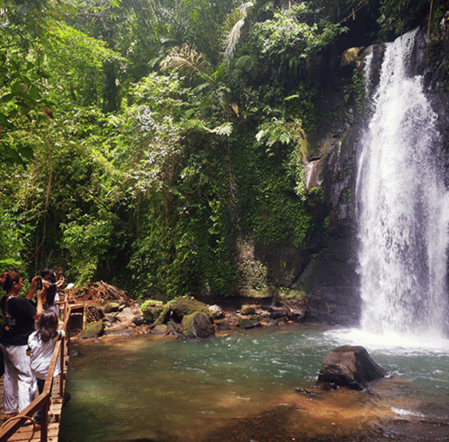 Ubud: Customised Private Full Day Tour With Personal Driver