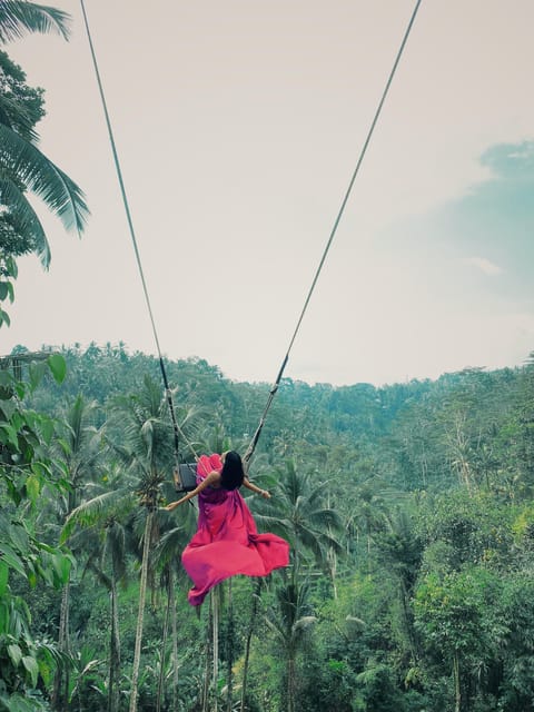 Ubud Day Tour - Best Thing to Do in Ubud Bali