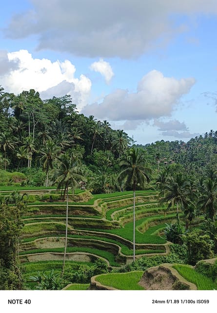 UBUD Tour and Swing