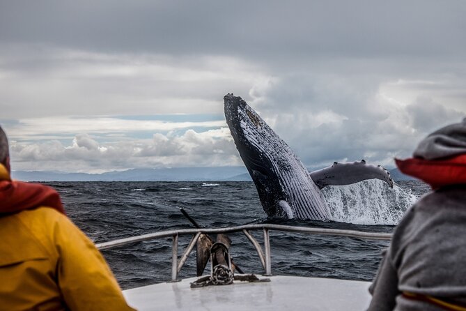 Ultimate Alaskan Adventure: Ocean Wildlife to Interior Wilderness 9 Day/8 Nights