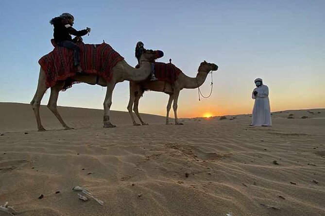 Ultimate Combo Doha Adventure:City Sights & Desert Safari Thrills