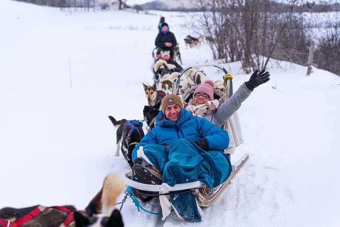 Ultimate Dog Sledding Tour – Day Trip From Ottawa & Gatineau