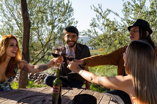 Ultimate Maipú Adventure: Winery Tour & Gourmet Lunch