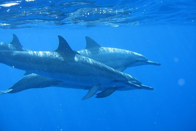 Ultimate Na Pali Coast Zodiac Boat Snorkeling and Sea Cave Tour