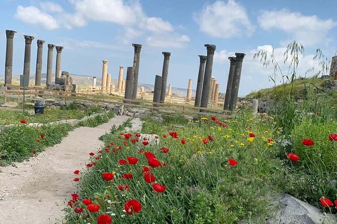 Umm Qais, Jerash & Ajloun Castle Day Tour From Amman