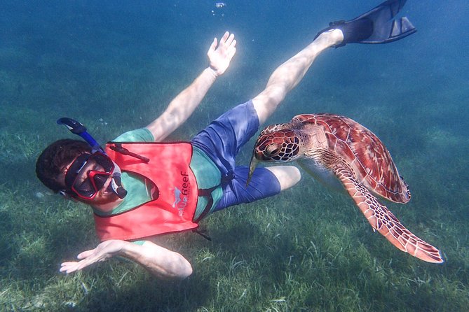 Under the Sea Snorkeling(Stingray/Kayak/ Power Snorkel Available)