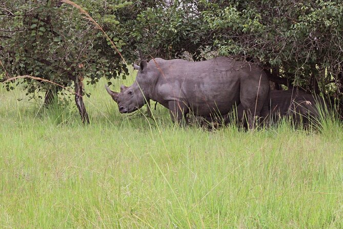 Unforgettable 3 Days Murchison Falls.