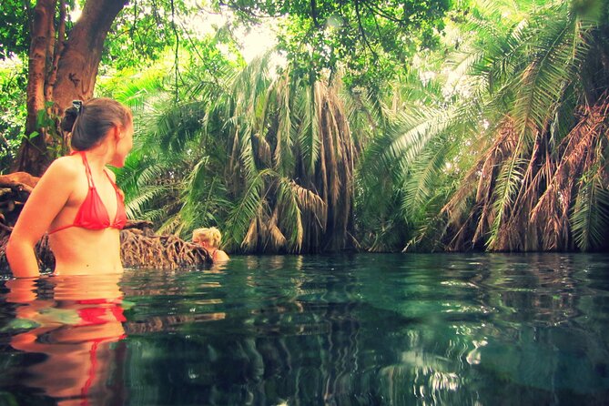 Unforgettable Arusha National Park Day Trip