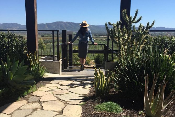 Valle De Guadalupe COUPLES Wine Tasting for 2