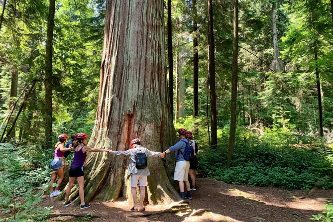 Vancouver Bike Tour – Stanley Park & the World-Famous Seawall