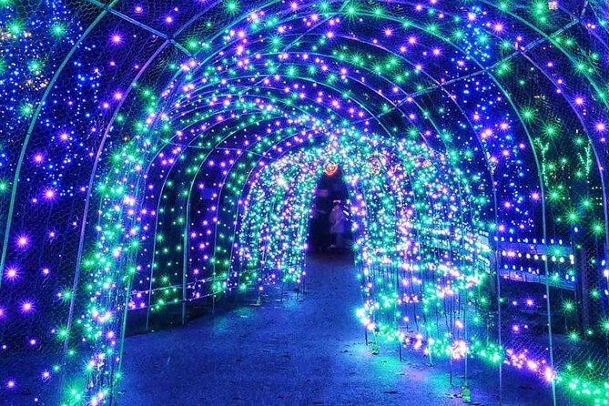 Vancouver Christmas Light Tour Private - Included in the Tour