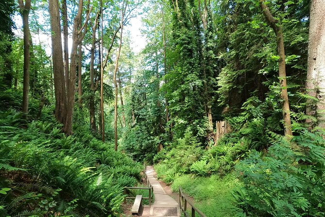 Vancouvers Natural Stair Master Workout, With Beach Walk