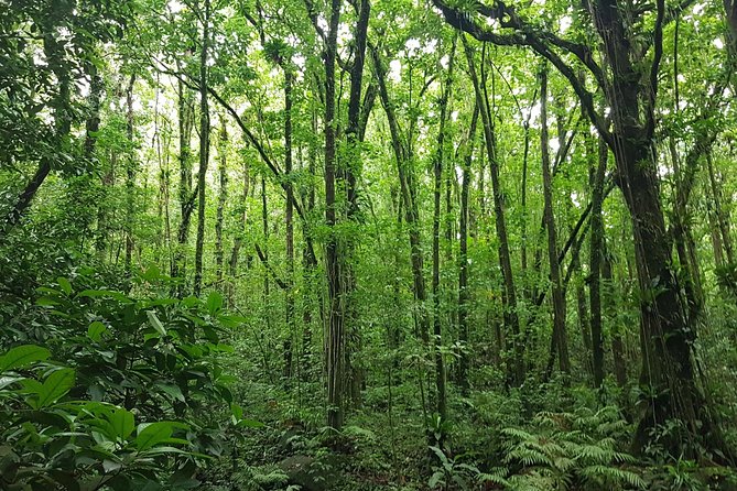 Vermont Nature Trail Hike - Exploring the Vermont Trail