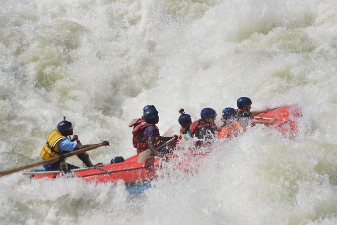 Victoria Falls: Whitewater Rafting + Chobe Safari Combo