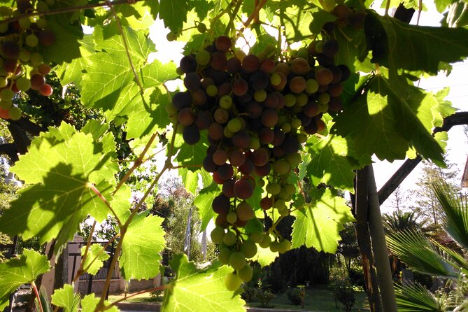 Villavicencio Walking Tour With Lunch Included