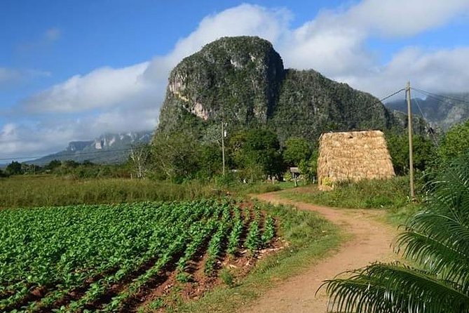 Viñales Horse Tour