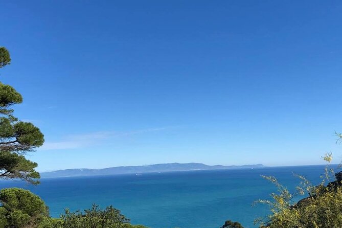 Vip 5 Hour Tangier Private Day Trip