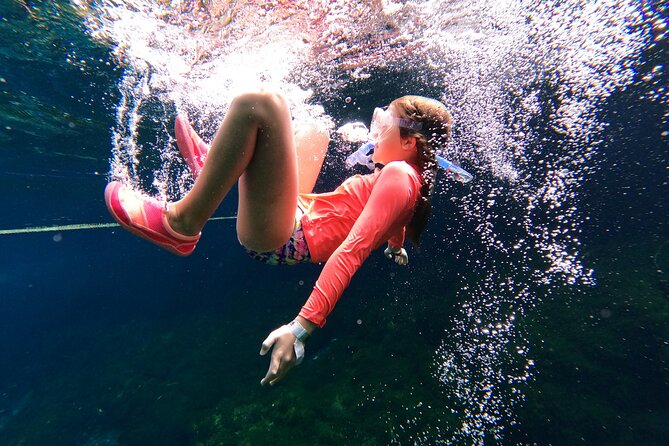 VIP Cenotes Private Tour (half-day) - Tour Overview