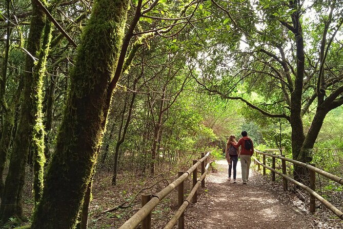 VIP Experience in Magica Gomera