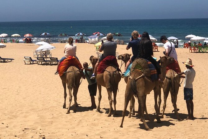 Vip Full Day Private Tangier Tour From Malaga All Inclusive