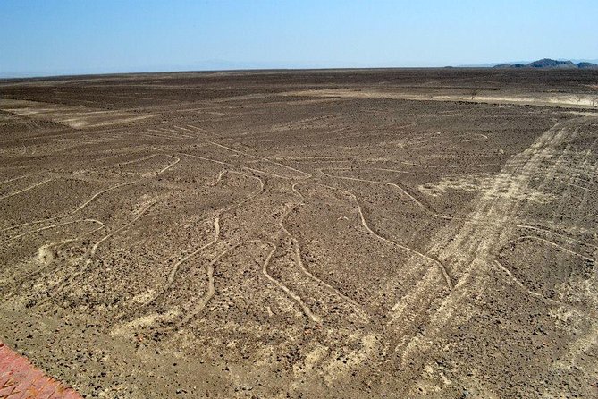 VIP Tours Nazca Lines