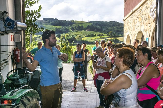 Visit and Private Tasting at the Txakolí Gaintza Winery