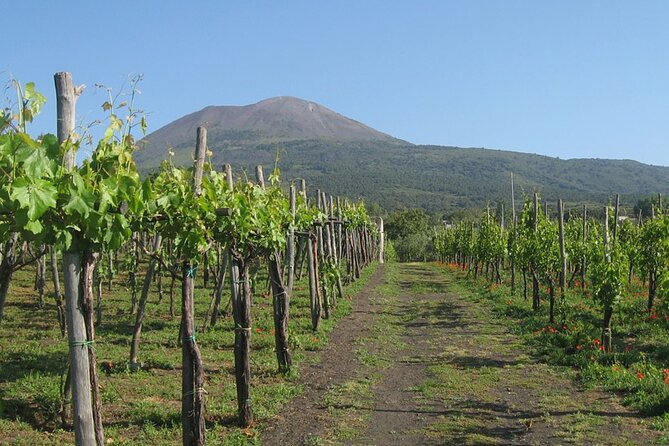 Visit Pompeii and Sorrento