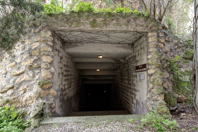 Visit the Etruscan Underground Heritage Site of Tarquinia