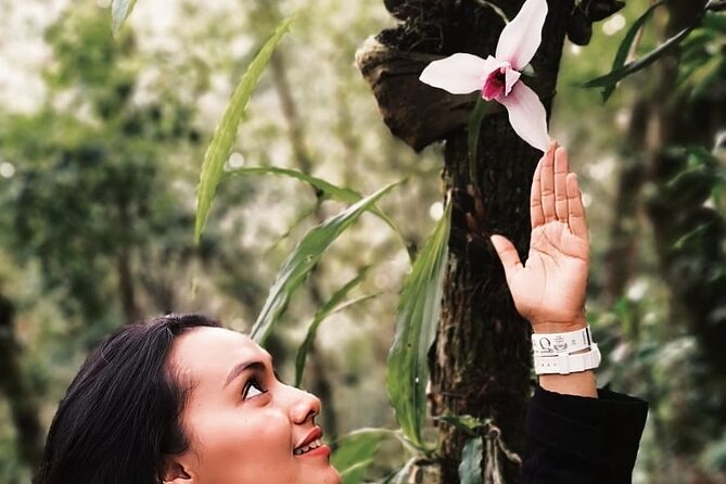 4 Best Tours In Coban
