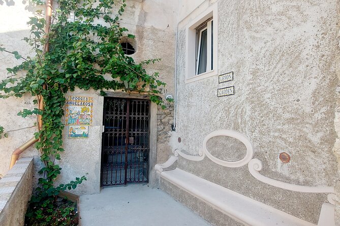 Visit to a Lemon Grove on the Amalfi Coast With Tasting