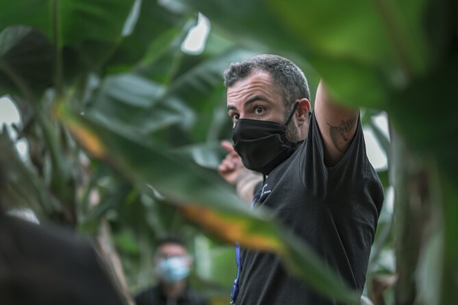 Visit to the Banana Growing Farm in Santa Cruz De Tenerife