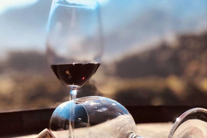Visiting Local Vineyard With Wine Tasting & Lunch Included - What to Expect