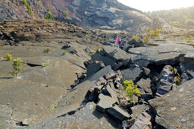 Volcanoes National Park Guided Hike- Small Group Hike