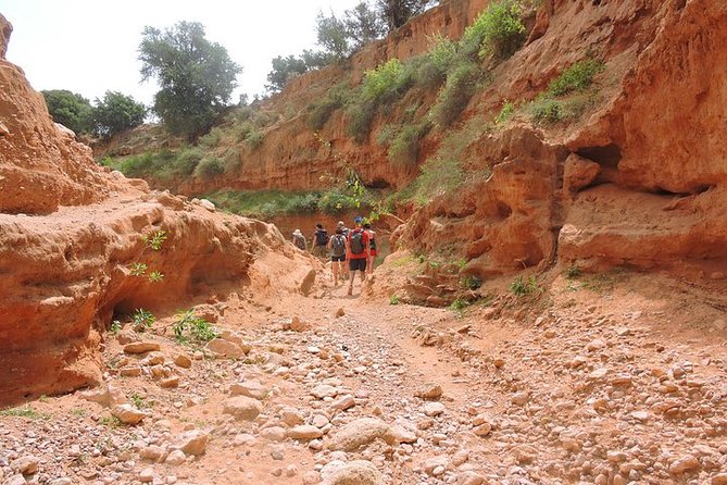 Walk Between Argan Forest, Ocean & Waterfalls