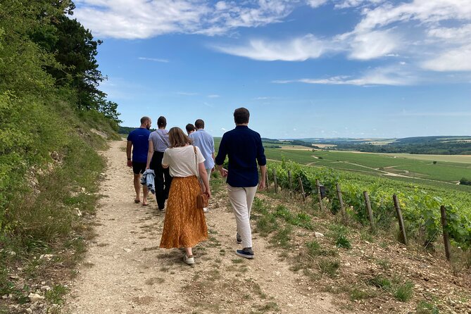 Walk in the Vineyards of Chablis Grands Crus - Overview of the Tour