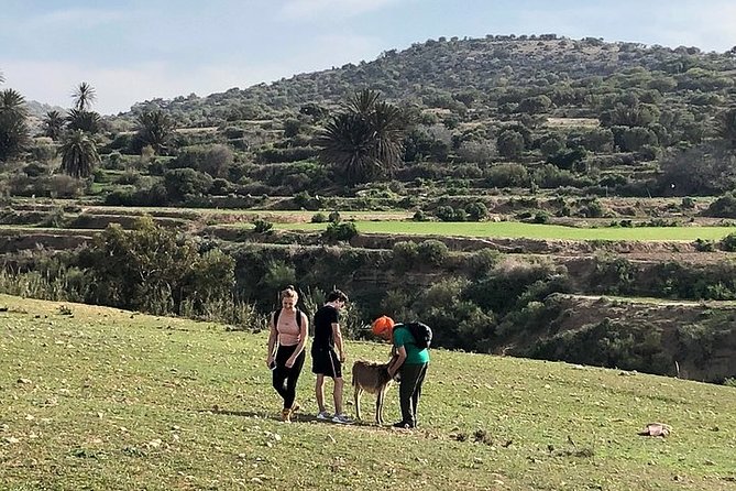 Walk to the Cascade and Marabout of Sidi Mbark & for a Tea to Kaouki - Tour Overview