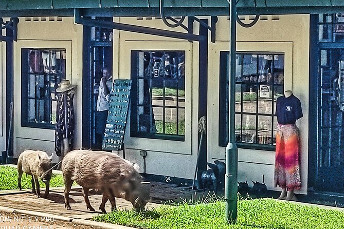 Walking Safari of Victoria Falls Town
