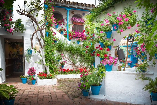 Walking Tour in the Patios of Cordoba