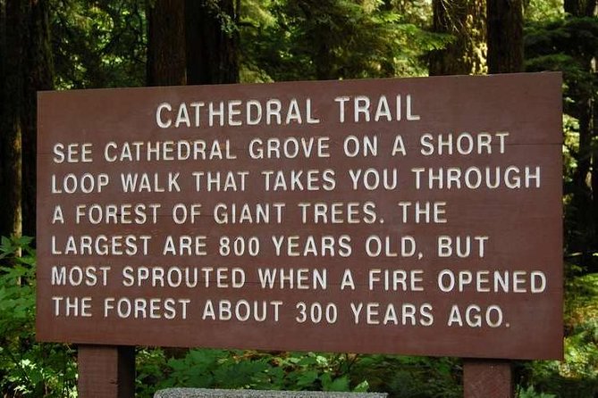 Waterfalls, Cathedral Grove Rainforest, and Coombs Adventure With Hiking - Inclusions and Logistics