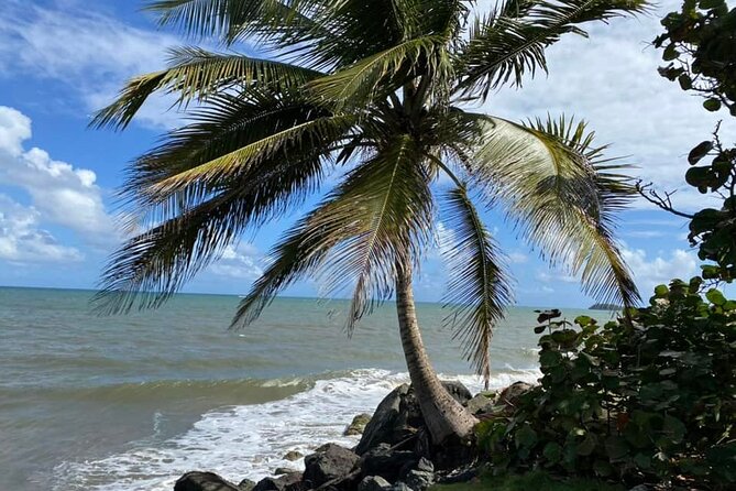 Western Island Full Day Tour