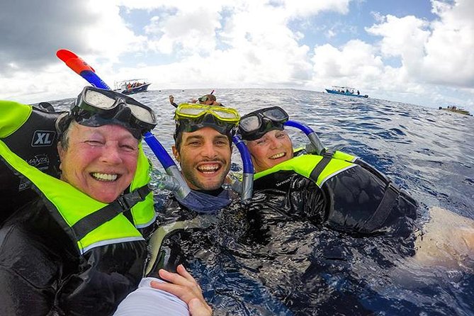 Whale Shark Tour From Cancun, Playa Del Carmen, Tulum and Riviera Maya