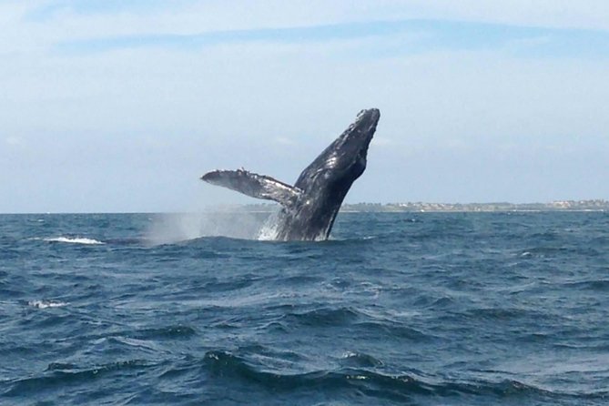 2 Best National Park Tours In Sayulita