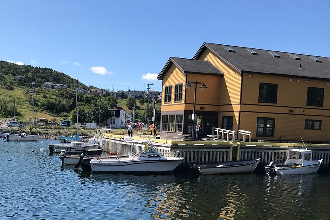 Whale Watching, Shark and Cod Fishing, From St. Johns Harbor