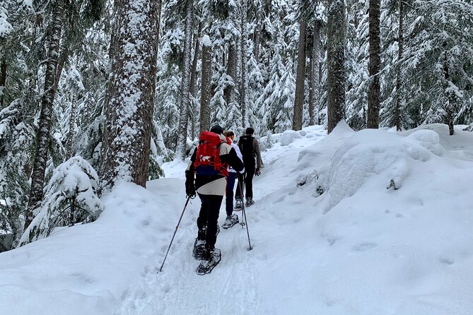 Whistler Lost Lake Snowshoeing and Village Tour