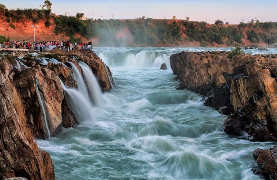 2 Best National Park Tours In Madhya Pradesh