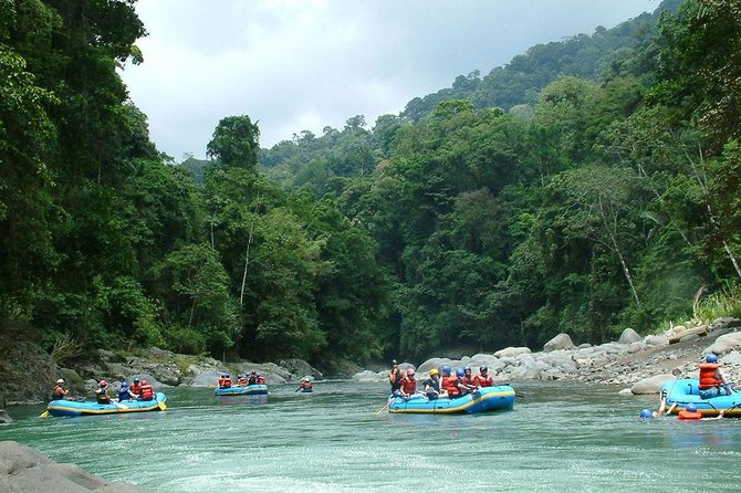 White Water Rafting Reventazón River From Puerto Viejo | Limon