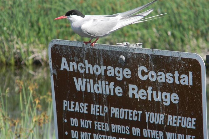 Whittier to Anchorage Cruise Transfer and Private Tour
